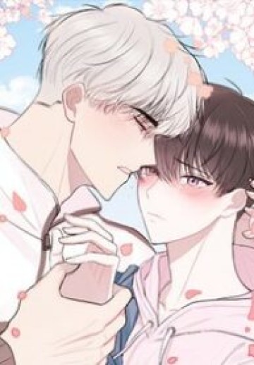 Don’t Cry, Sunbae!